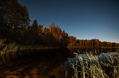 C 2023 A3 Tsuchinshan ATLAS Kuyruklu Yıldızı 18 Ekim 2024 'te Letonya' daki orman gölü üzerinde