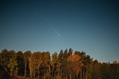 Comet C 2023 A3 Tsuchinshan ATLAS over the forest in Latvia on October 18th, 2024 clipart