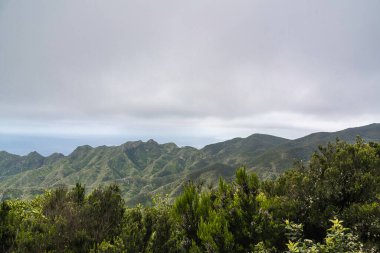 Anaga Ulusal Parkı, Tenerife, İspanya 'da Mart ayında bulutlu bir gün
