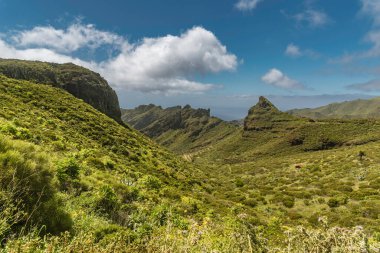 Güneşli Mart gününde Maska Vadisi 'ne bakın, Tenerife, Kanarya Adaları, İspanya