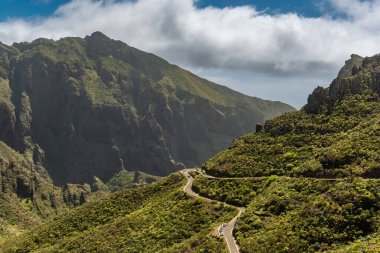 Güneşli Mart gününde Maska Vadisi 'ne bakın, Tenerife, Kanarya Adaları, İspanya