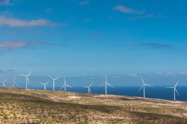 Tenerife, Kanarya Adaları, İspanya 'da rüzgar türbinleri (rüzgar çiftliği)