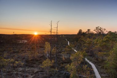 Bahar ayında Letonya 'da Cena bataklığında gün batımı