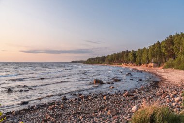 Letonya 'nın Baltık kıyılarındaki Veczemju uçurumları gün batımında.