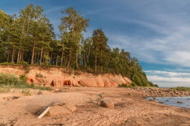 Yaz günü Letonya 'da Baltık kıyılarındaki Ezhurgas uçurumları