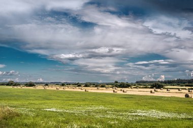 Kırsal alan, saman ruloları, yazın gökyüzünün altındaki orman..
