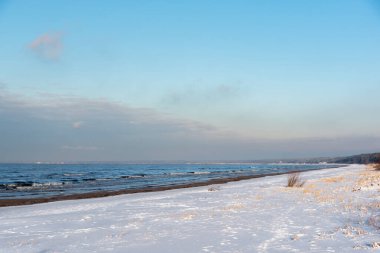 Letonya 'da kışın karla kaplı Baltık kıyıları