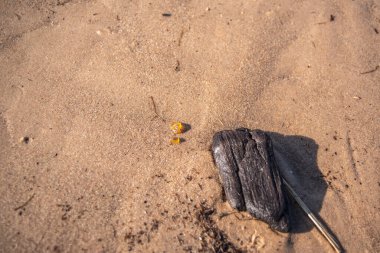Güneşli bir günde kumsalda yatan küçük kehribar parçaları.