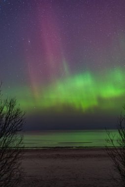 Aurora Borealis, Mart ayında Letonya 'daki Baltık Denizi plajında kuzey ışıkları