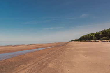 Güneşli bahar gününde Baltık Denizi 'nin boş kumlu sahilleri