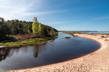 Güneşli bahar gününde Vitrupe nehri ağzı