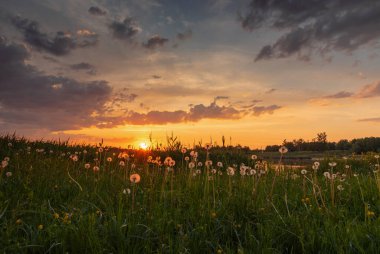 Letonya, Kekava 'daki Daugava nehrinde gün batımı