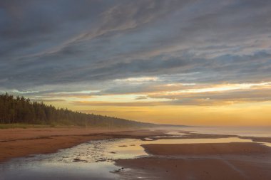 Empty sandy beach of Baltic sea covered with fog after rain during the sunset at summer clipart