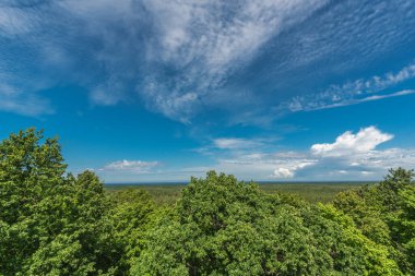 Güneşli yaz gününde Slitere deniz fenerinden Letonya 'daki Slitere doğa parkına ve Baltık Denizi' ne en iyi manzara