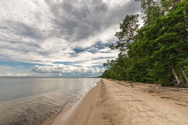 Baltic sea( Gulf of Riga) beach in Evazu nature trails, Kolka, Latvia clipart