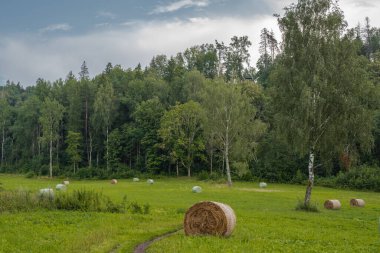 Saman ruloları, tarla ve ağaçlarla rutin bir sahne.