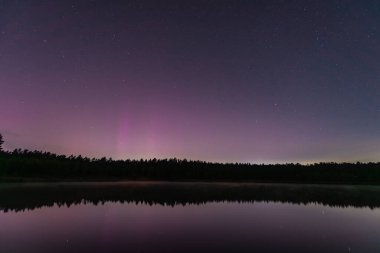 Aurora Borealis, Ağustos gecesi Letonya 'daki orman gölü üzerinde kuzey ışıkları ve yıldızlar..