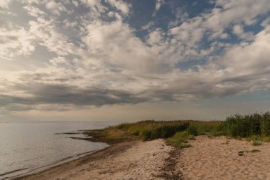 Letonya 'nın Limbazi bölgesindeki aşırı gelişmiş baltık sahili.