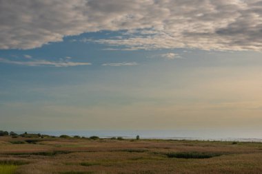 Yazın Baltık deniz kıyısındaki Randu çayırları