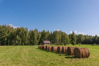 Eski ahşap ahır ve güneşli yaz gününde saman ruloları