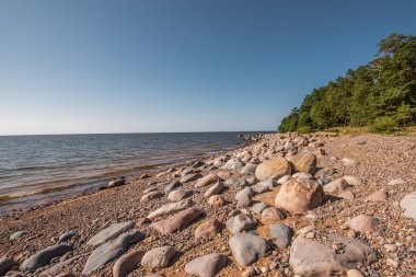 Güneşli yaz gününde Letonya 'nın Vidzeme bölgesinde taşlı baltık denizi kıyıları