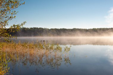 Lilaste, Letonya 'da küçük orman gölü 