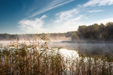 Lilaste, Letonya 'da küçük orman gölü 