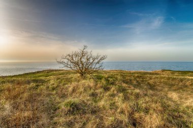 Güneşli bahar gününde Tallinn, Estonya yakınlarındaki Pakri uçurumundan baltık denizine bakın.