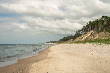 Staldzenes stavkrastlarındaki engebeli kıyı şeridinin geniş açılı bir görüntüsü. Görüntü, engin, el değmemiş kumlu bir sahile ve dramatik bir deniz altındaki Baltık Denizi 'nin sakin sularına uzanan bir çam ormanının tepesindeki dramatik, yüksek kumlu uçurumu gösteriyor.