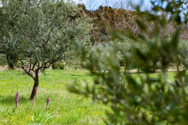 Dağda sırt çantalı bir adamın silueti.