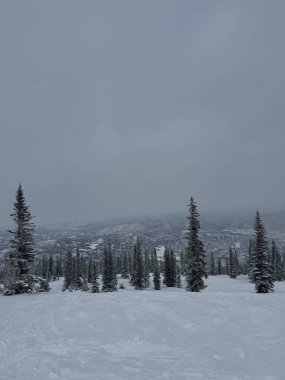 Fotoğraf, yüksek yeşil ağaçlarla çevrili karlı bir kayak yamacını yakalıyor. Sahne, el değmemiş beyaz araziyi ve çevreleyen ormanın doğal güzelliğini vurguluyor. Huzurlu ve pitoresk bir dağ manzarası yaratıyor..