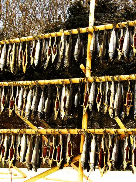 Gölde kış balıkçılığı