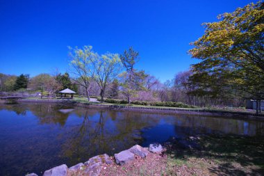 Parkın güzel manzarası