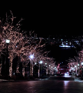 Japonya 'nın en iyi üç gece manzarasından biri olarak seçilen Hakodate' nin gece manzarası.