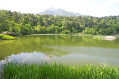 Güzel Rishiri Adası, Hokkaido 'da uzak bir ada.