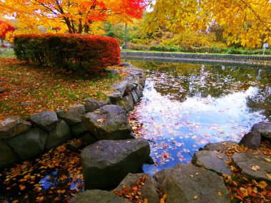 Hokkaido Tarihi Köyü Sonbaharın sonlarında parlıyor