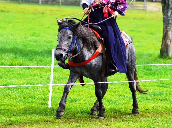 Yabusame Hokkaido 'da tutuluyor