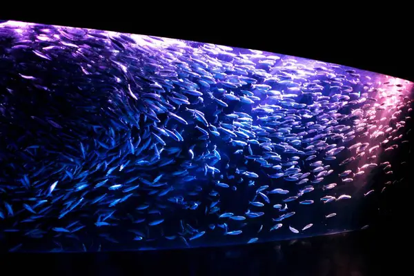 Buz küplerinin soyut arkaplanı