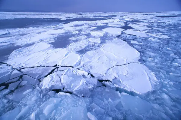 Kutup Denizi 'nin buzu