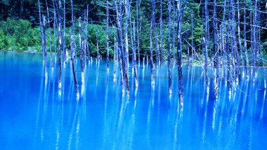 Hokkaido 'daki görkemli Mavi Göl