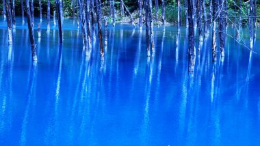 Hokkaido 'daki görkemli Mavi Göl