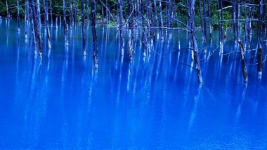Hokkaido 'daki görkemli Mavi Göl