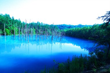 Hokkaido 'daki görkemli Mavi Göl