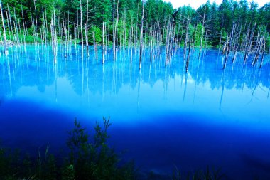 Hokkaido 'daki görkemli Mavi Göl