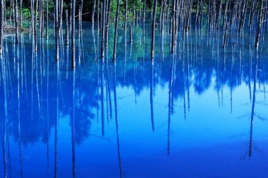 Hokkaido 'daki görkemli Mavi Göl