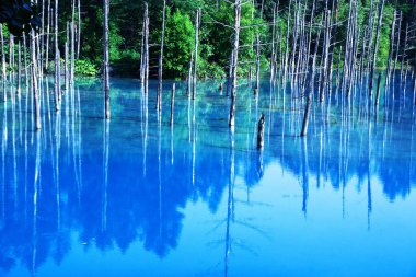Hokkaido 'daki görkemli Mavi Göl
