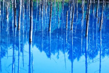 Hokkaido 'daki görkemli Mavi Göl