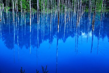 Hokkaido 'daki görkemli Mavi Göl