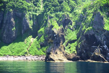 Shiretoko 'nun göz kamaştırıcı mavi dünya doğal miras bölgesi.
