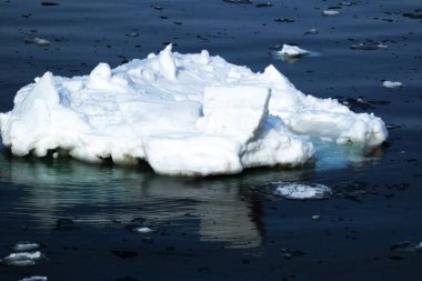 Garinko, bir buz gezisi teknesi.